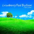 Cranberry Red Balloon by Tab Laven, A Family Songs CD, Wins Parents...